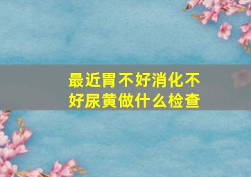 最近胃不好消化不好尿黄做什么检查