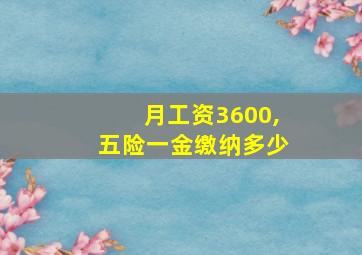 月工资3600,五险一金缴纳多少