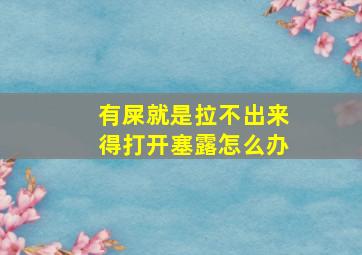 有屎就是拉不出来得打开塞露怎么办