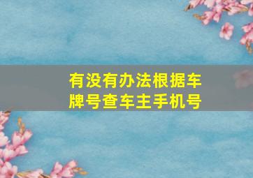 有没有办法根据车牌号查车主手机号