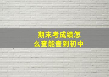 期末考成绩怎么查能查到初中