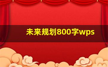 未来规划800字wps