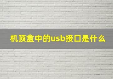 机顶盒中的usb接口是什么