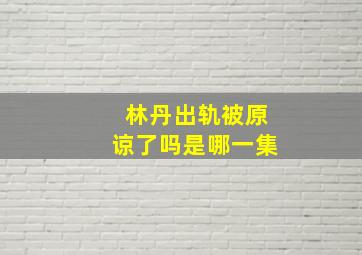 林丹出轨被原谅了吗是哪一集