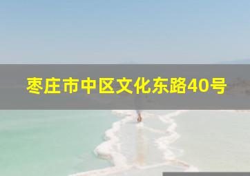 枣庄市中区文化东路40号