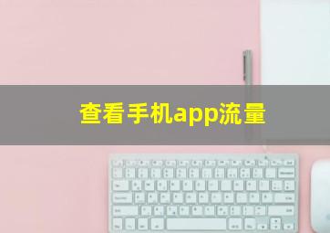 查看手机app流量