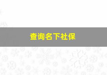 查询名下社保