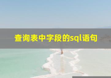 查询表中字段的sql语句