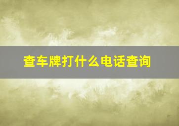 查车牌打什么电话查询