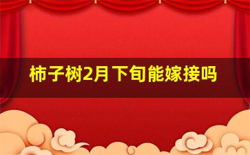 柿子树2月下旬能嫁接吗