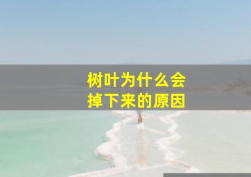 树叶为什么会掉下来的原因