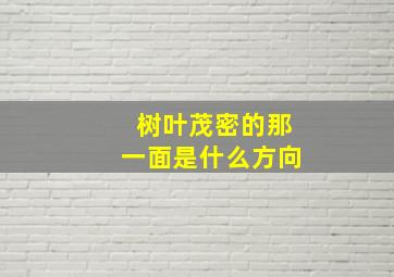 树叶茂密的那一面是什么方向