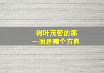 树叶茂密的那一面是哪个方向