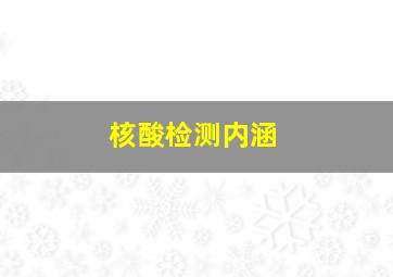 核酸检测内涵