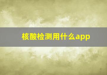 核酸检测用什么app