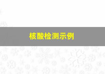 核酸检测示例