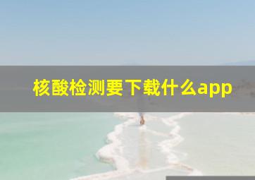 核酸检测要下载什么app