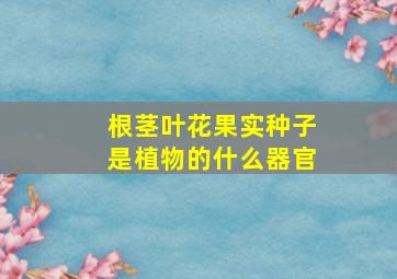 根茎叶花果实种子是植物的什么器官