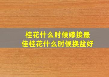 桂花什么时候嫁接最佳桂花什么时候换盆好