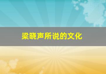 梁晓声所说的文化