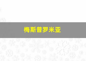 梅斯普罗米亚