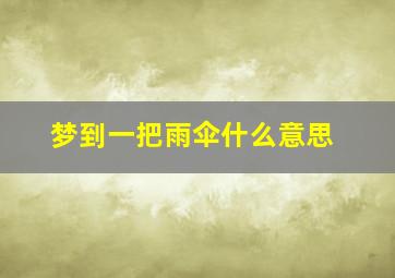 梦到一把雨伞什么意思