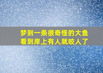 梦到一条很奇怪的大鱼看到岸上有人就咬人了