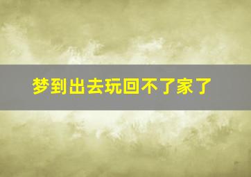 梦到出去玩回不了家了