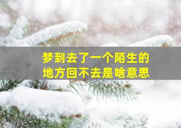 梦到去了一个陌生的地方回不去是啥意思