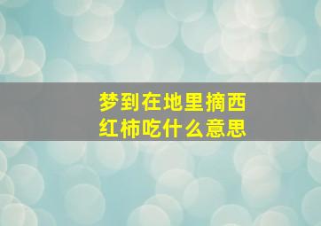 梦到在地里摘西红柿吃什么意思