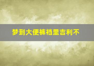 梦到大便裤裆里吉利不