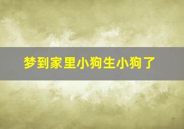 梦到家里小狗生小狗了