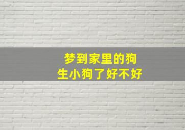 梦到家里的狗生小狗了好不好