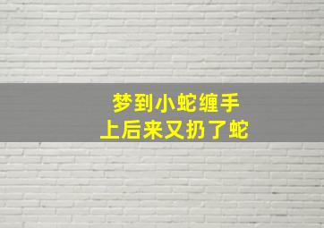 梦到小蛇缠手上后来又扔了蛇