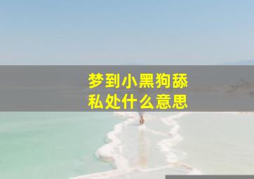 梦到小黑狗舔私处什么意思