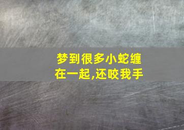 梦到很多小蛇缠在一起,还咬我手