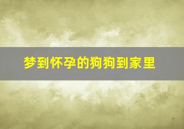 梦到怀孕的狗狗到家里