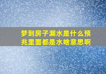 梦到房子漏水是什么预兆里面都是水啥意思啊