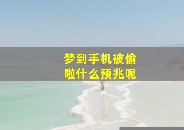 梦到手机被偷啦什么预兆呢