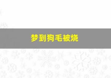 梦到狗毛被烧