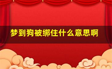 梦到狗被绑住什么意思啊