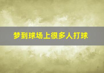 梦到球场上很多人打球