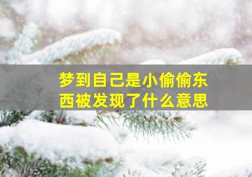 梦到自己是小偷偷东西被发现了什么意思