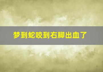 梦到蛇咬到右脚出血了