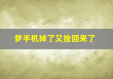 梦手机掉了又捡回来了