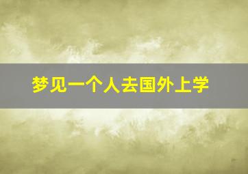 梦见一个人去国外上学