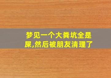 梦见一个大粪坑全是屎,然后被朋友清理了