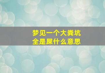 梦见一个大粪坑全是屎什么意思