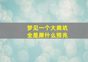 梦见一个大粪坑全是屎什么预兆