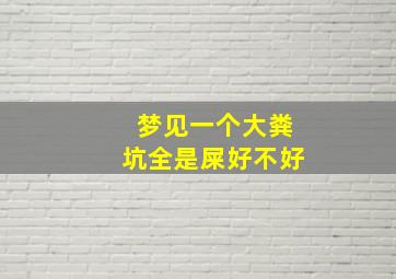 梦见一个大粪坑全是屎好不好